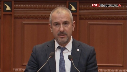 “PROGRAMI I LSI DHE PD NUK BËJNË SENS”/ Bushati: Së bashku një Frankenstein politik dhe ekonomik, i dëmshëm në këtë kohë