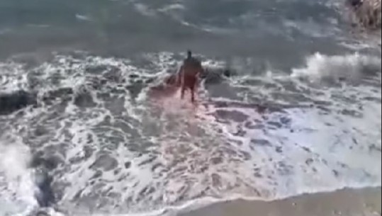 I APASIONUAR PAS NATYRËS/ Vlonjati sfidon temperaturat e ulëta dhe dallgët e larta, futet në det të lahet e i thur vargje (VIDEO)