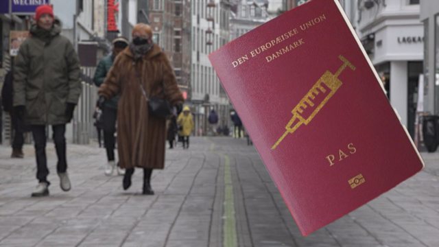 COVID-19/ Shteti i parë në botë prezanton “pasaportat e koronavirusit”, ja si funksionon