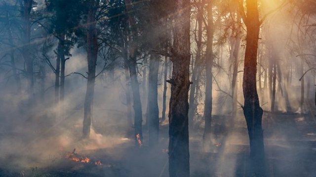 PARALAJMËROJNË SHKENCËTARËT/ “Njerëzimi po vrapon drejt një të ardhmeje të tmerrshme”