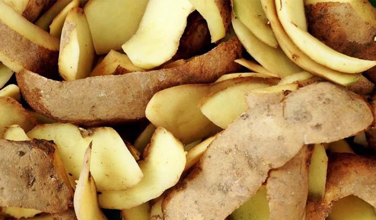 E DINIT? Vlerat e habitshme të lëkurës së patates për diabetin, zemrën dhe rënien në peshë