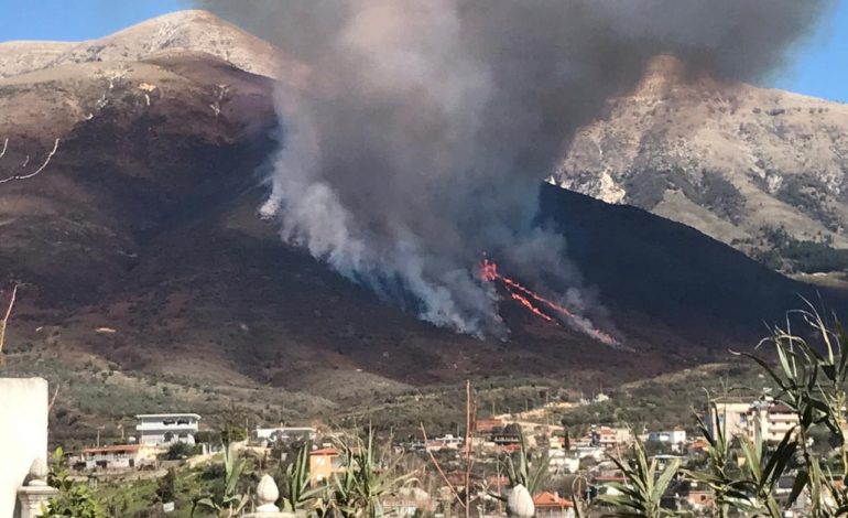 ZJARR NË DELVINË/ Përfshihet nga flakët një sipërfaqeje e madhe toke në fshatin Kamodhiq (FOTO)