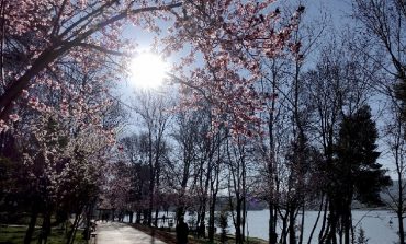 PAMJET FANTASTIKE/ Parku i Liqenit të Tiranës "lulëzohet" nga ngjyrat e pranverës