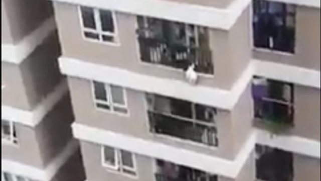 NDODH MREKULLIA/ 2-vjeçarja bie nga kati i 12-të, një burrë e pret poshtë dhe e shpëton (VIDEO)