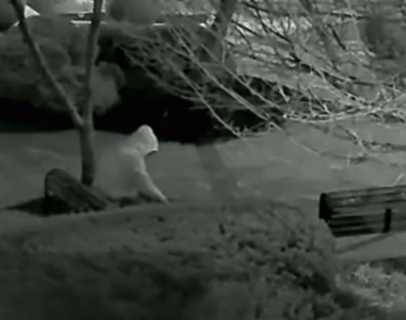 ZBULOHEN DETAJE TË REJA/ FBI publikon pamjet kur një burrë vendos bomba një natë para sulmit në Capitol (VIDEO)
