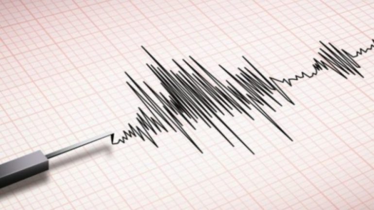 ALARM PËR TSUNAMI/ Tërmet shumë i fuqishë me magnitudë 7.3 ballë në Zelandën e Re