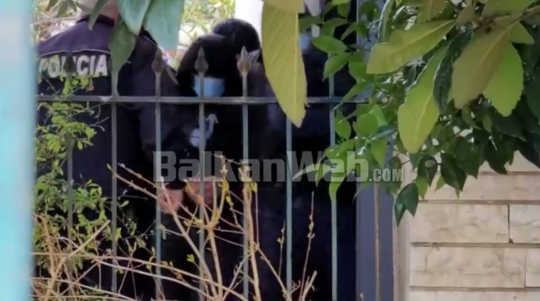 EKZEKUTIMI I SHKËLZEN KASTRATIT/ Lihet në burg i arrestuari Albert Zaja