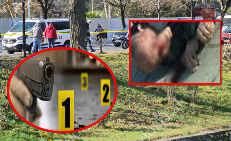 EKZEKUTIMI I BEHAR SOFISË/ Në pranga autori dhe 3 bashkëpunëtorët. Ernejt Shyti ka pranuar autorësinë e krimit (DETAJET)