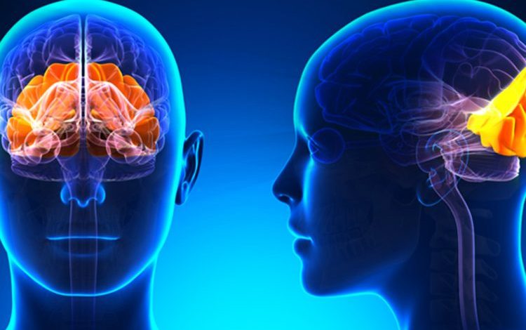 DUHET T´I DINI PATJETËR/ Rreziqet shëndetësore që shkaktohen nga dhimbjet e kokës
