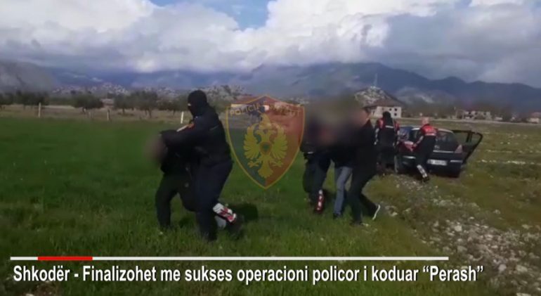 DROGË, ARMË, E FARA KANABISI/ Goditet banda kriminale në Shkodër, 4 të arrestuar (EMRAT)