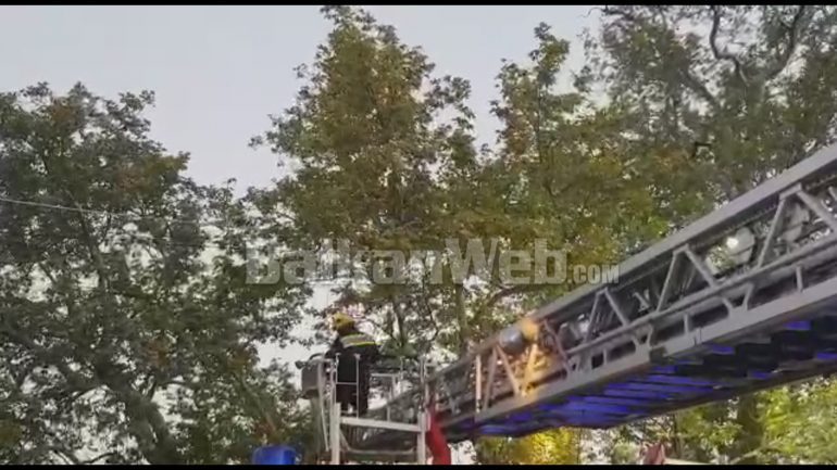 “O ENVER O HITLER”/ Një burrë hipën në Rrapin e Bezistanit në Elbasan, kërcënon se do të hidhet (VIDEO)