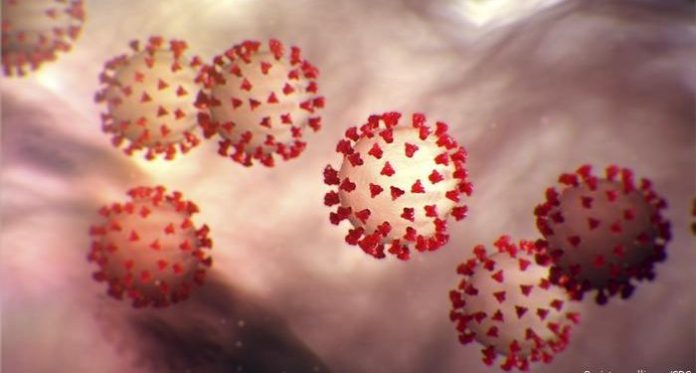 COVID-19/ Epidemiologu jep lajme të mira mbi imunitetin natyror: Zgjat deri në 12 muaj…