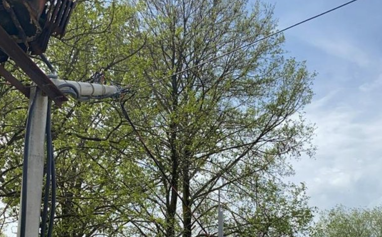PRET PEMËN DHE DËMTON RRJETIN ELEKTRIK/ Ndërpritet energjia në ZAZ-në 29 në Tiranë