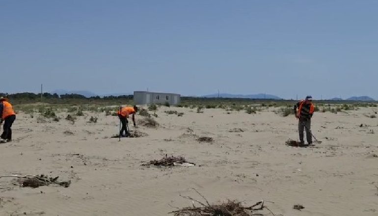 PAK DITË NGA ÇELJA E SEZONIT TURISTIK/ Nis pastrimi i plazhit të Darëzezë dhe Semanit