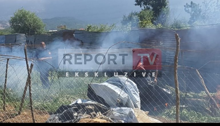 OPERACION MASIV ANTI-KANABIS NË FUSHË-KRUJË/ Guardia di Finanza zbuloi parcelat me drogë pas monitorimit nga ajri