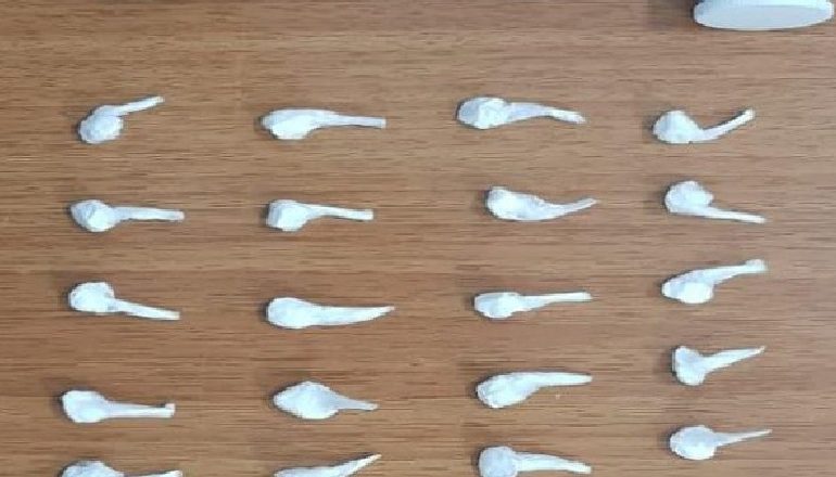 SHPËRNDANIN KOKAINË NË TIRANË/ Arrestohen dy të rinjtë