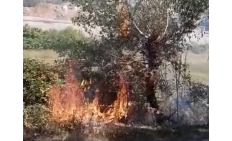 PAMJET NGA VENDNGJARJA/ Vatër zjarri në fshatin Ndërfushas, zjarrëfiksja…