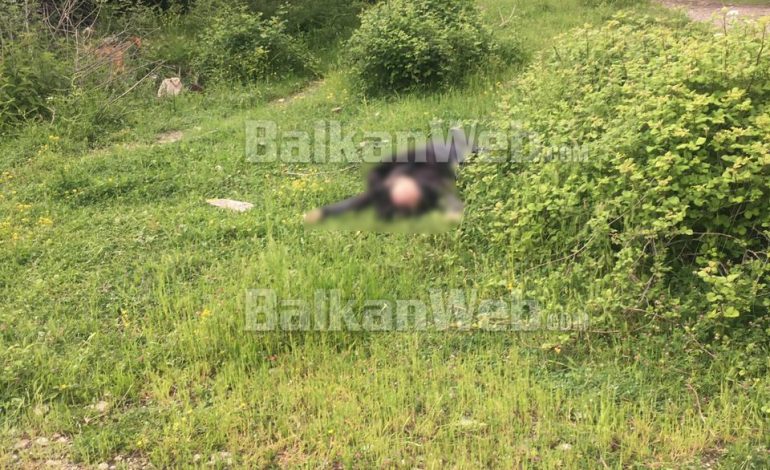 EKZEKUTIMI NË SHKODËR/ Dalin PAMJET, ja si u gjet trupi i pajetë i Endri Mustafës, një pistoletë gjendet afër tij