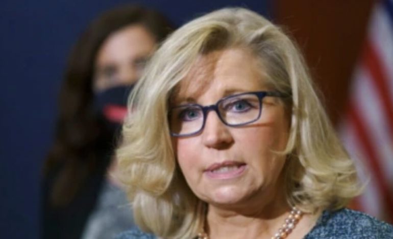 SHBA/ Ligjvënësja republikane Liz Cheney kritikohet për sulmet ndaj zotit Trump