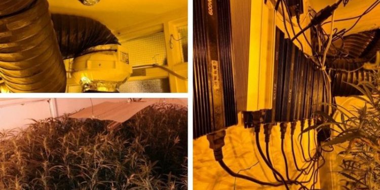 DALIN EMRAT/ Fabrikë kanabisi me vlerë 1.25 milionë paund, si u kapën TRE shqiptarët në Angli