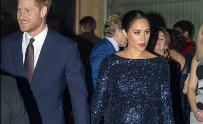 “MEGHAN NUK VRAU VETEN QË UNË…”/ Deklarata shokuese e Princ Harry-t: Do humbja atë së bashku me një foshnjë brenda saj