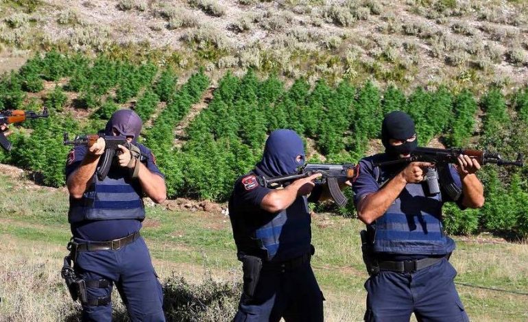 VIJON AKSIONI ANTI-DROGË NË KRUJË/ Një ditë më parë u arrestuan 16 persona dhe u godit një laborator kanabisi