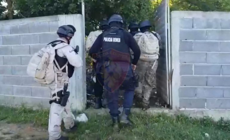 DALIN PAMJET NGA AKSIONI NË KRUJË/ RENEA e FNSH shkatërrojnë laborator e sera me kanabis, 16 të arrestuar