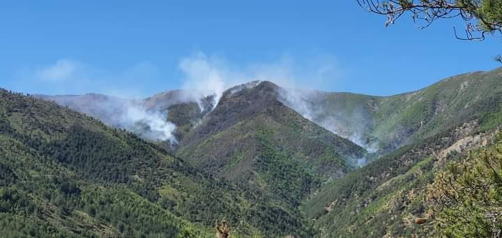 PAMJET/ Vatër e madhe zjarri në malet e Bulsharës në Mirditë, terreni i thyer vështirëson…