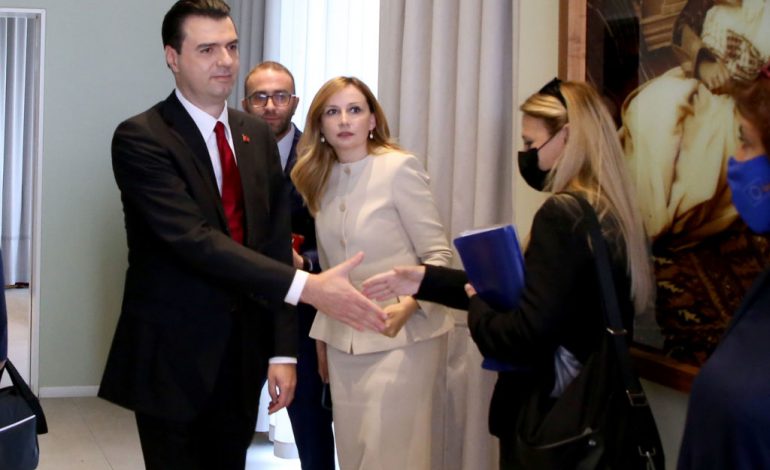 HARROHET 25 PRILLI/ Lulzim Basha, fushatë për kryetar