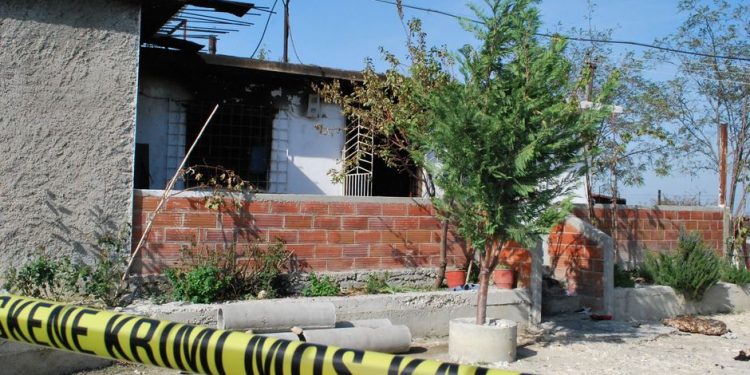 E RËNDË NË LIBRAZHD/ Një 42-vjeçar gjendet i varur në pemë, detajet e para (EMRI)