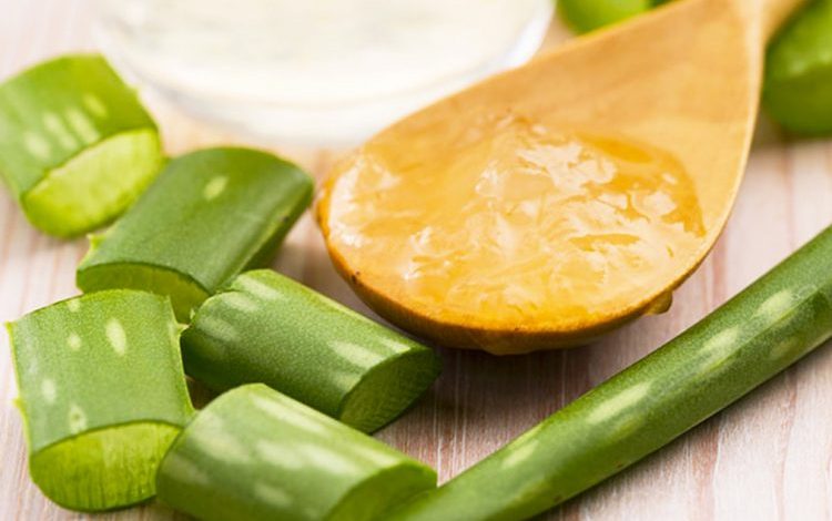 VAJ ULLIRI DHE ALOE VERA/ Trajtimi ushqyes që ju duhet për shëndetin