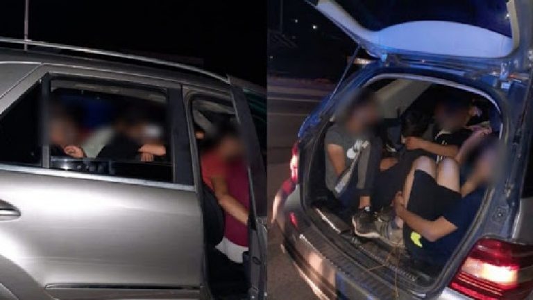 ARRESTOHET NJË 23-VJEÇAR NË GJIROKASTËR/ Kapet duke transportuar emigrantë të paligjshëm drejt Tiranës (EMRI)