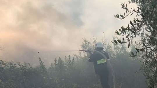 ZJARR NË BELSH/ Disa persona i vënë flakën vendepozitimit të plehrave të mbyllur që nga 2017 (VIDEO)