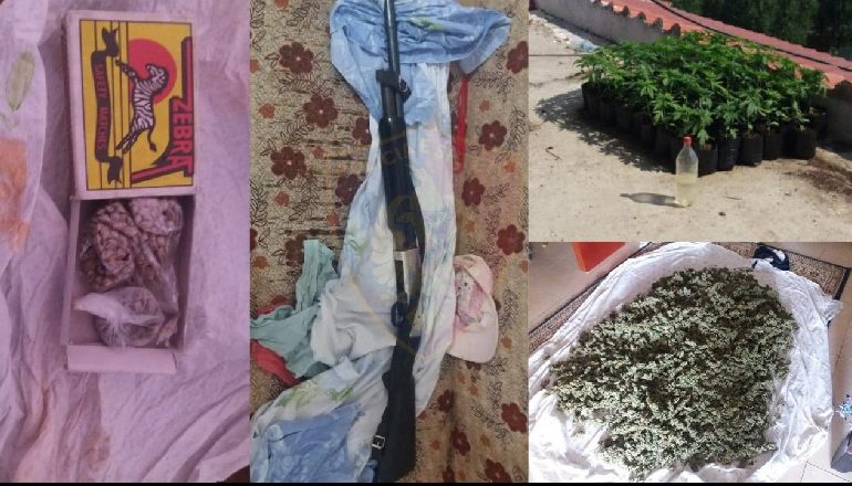 E KISHTE KTHYER SHTËPINË NË “FERMË” KANABISI/ Arrestohet 42-vjeçari në Fier! I gjenden në banesë…