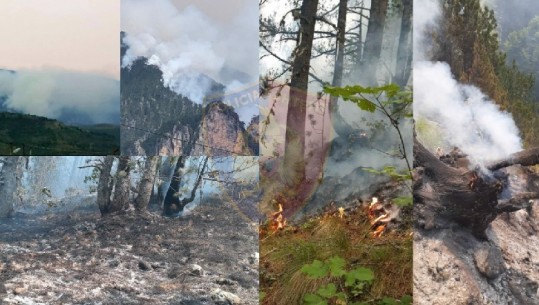 NDEZËN ZJARR NË MALIN E TOMORRIT/ 2 të arrestuar, 3 hetim në gjendje të lirë