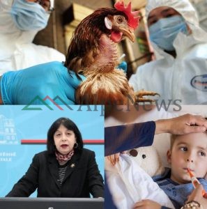 GRIPI I SHPENDËVE/ Gjithçka që duhet të dini nga rrezikshmëria, kujdesi për ushqimet e deri tek simptomat