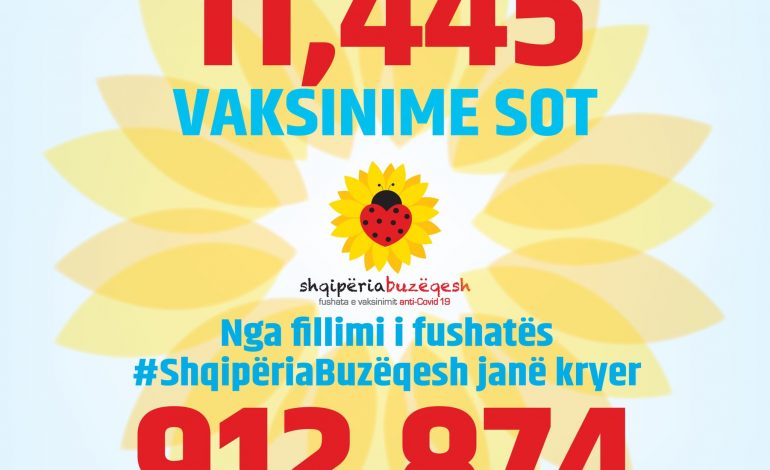 LAJM POZITIV/ Ja sa qytetarë janë vaksinuar nga COVID-19 në 24 orët e fundit (SHIFRAT)