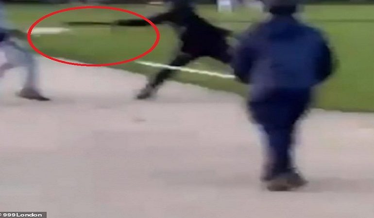“O ZOT, KA THIKË…”/ Pamje të rënda nga sherri masiv në mes të Londrës (VIDEO)
