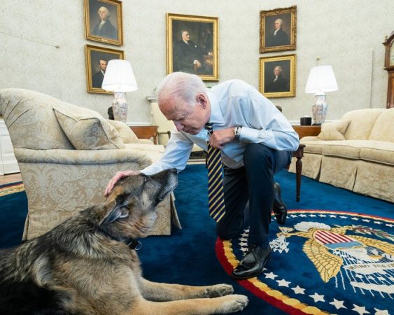 LAJM I TRISHTË PËR JOE BIDEN/ I ngordh pastori gjerman me të cilin kishte jetuar prej 13 vitesh (DEDIKIMI)
