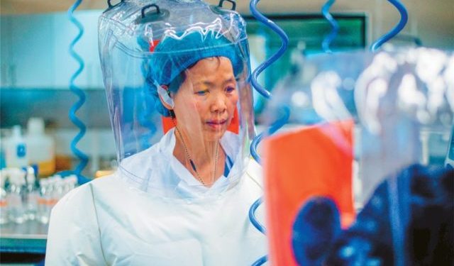 DETAJE TË REJA/ Si “rrodhi” COVID-19 nga laboratori dhe çfarë po fsheh ekspertja kineze e lakuriqëve…