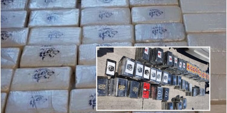 DALIN DETAJET/ Sekuestrimi i 300 kg kokainë në Durrës, kamioni me hekur kishte destinacion Italinë