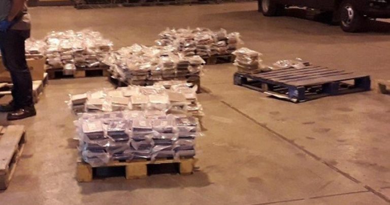NUK NDALET TRAFIKU ME KONTEINERË BANANESH/ Kapen 740 kg kokainë në Maltë, ja cilin vend ballkanik kishte si destinacion