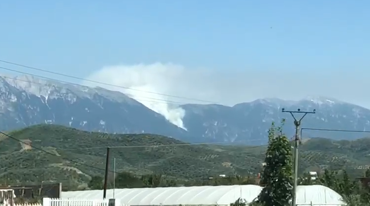 VIJON PREJ 8 ORËSH/ Ende aktiv zjarri në Malin e Tomorrit, rrezik për Parkun Kombëtar
