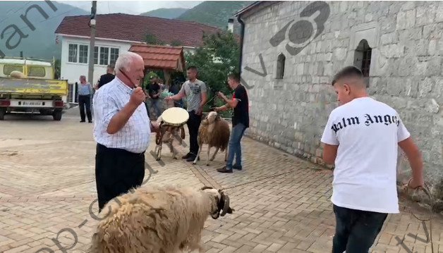 KURBAN BAJRAMI/ Në tyrbet e Bulqizës nisin ritet e therjes së kurbanëve