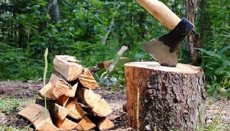 IKU PËR TË PRERË DRU/ Zhduket prej një jave 40-vjeçari në Martanesh