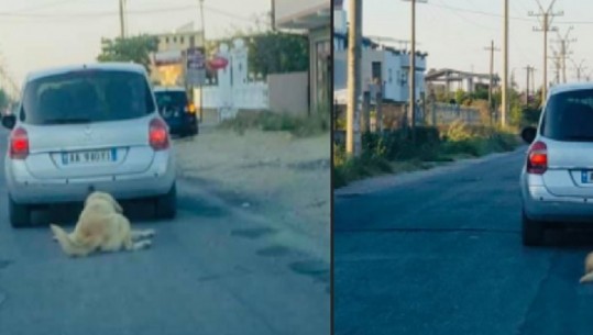 TËRHOQI ZVARRË QENIN ME MAKINË/ Çfarë ndodhi me 50-vjeçarin nga Fieri