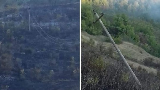 ZJARR MASIV NË MEMALIAJ/ Flaktët dëmtojnë linjën e energjisë elektrike. Digjen…