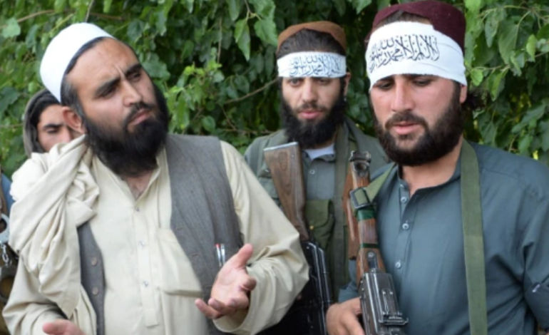 PSE KINA BISEDON ME TALIBANËT? Çfarë i bashkon dy palët