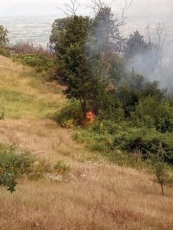 VATËR ZJARRI NË GJIROKASTËR/ Përfshihet nga flakët një kullotë, dyshohet…