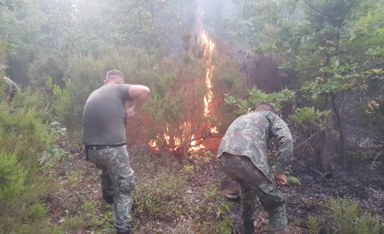 FLAKËT FAVORIZOHEN NGA ERA/ Vijon zjarri në Kurbin, ushtria e zjarrfikëset në aksion me mjete rrethanore… (PAMJET)